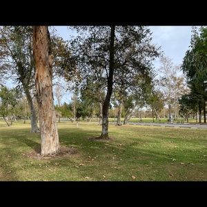 Meet your Posher, Zeena